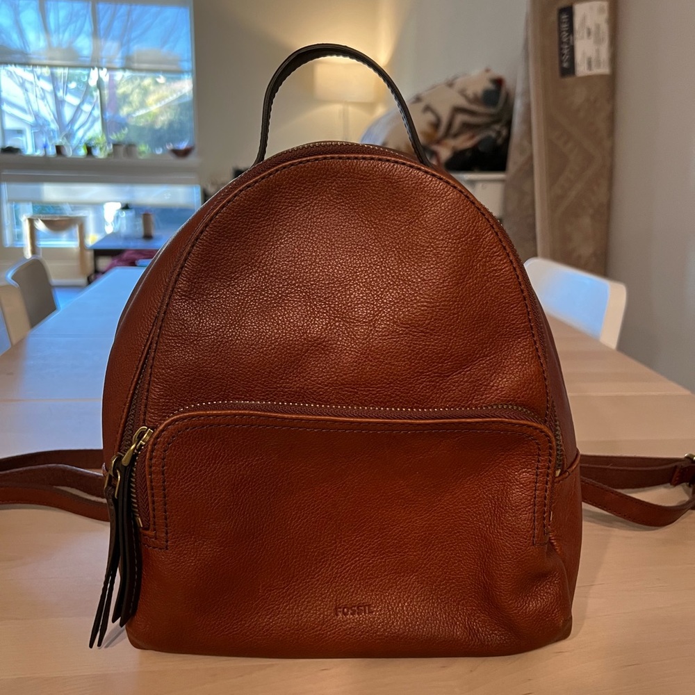 Gently used fossil backpack